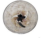 Manual Fruit and Vegetable Chopper